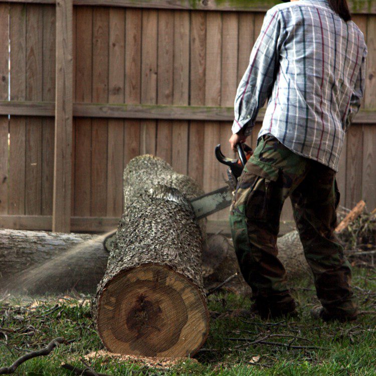 Tree services in Niles, MI