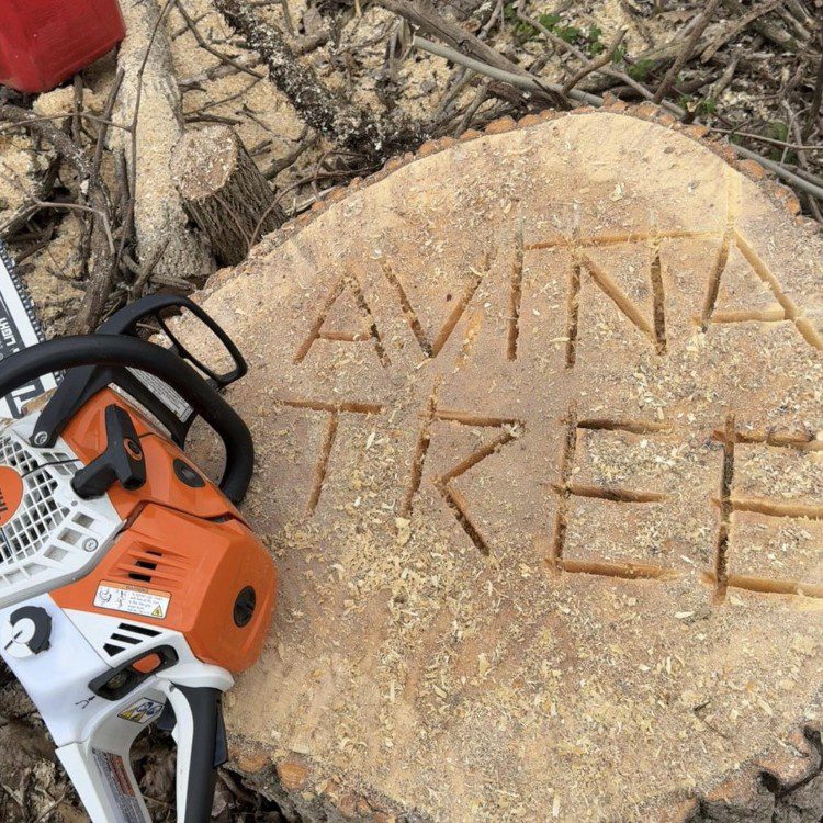 Tree services in Niles, MI