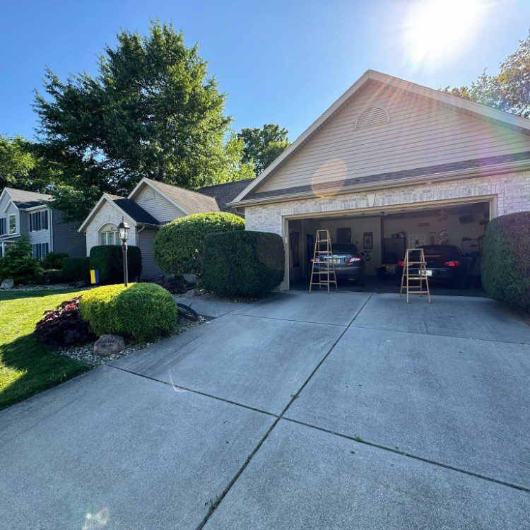 Tree services in Niles, MI