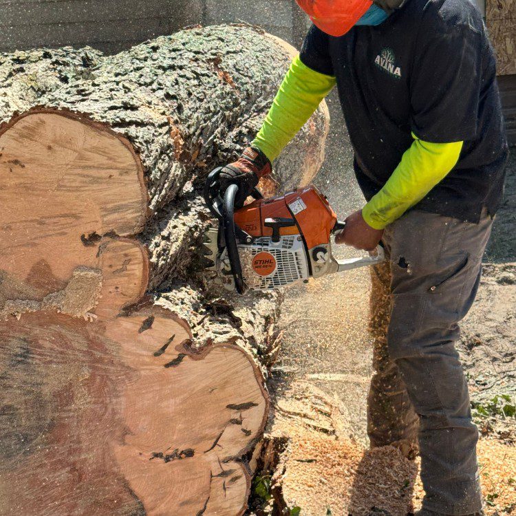 Tree services in Niles, MI