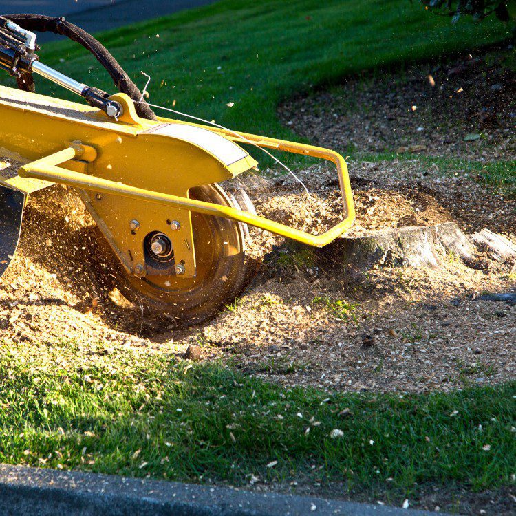 Tree services in Niles, MI