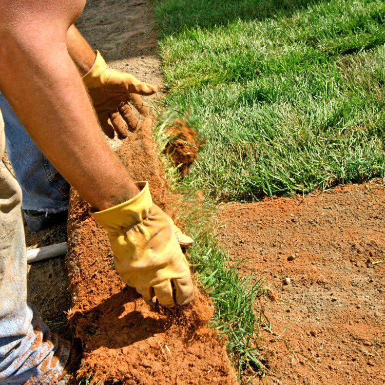 Tree services in Niles, MI Tree services in Niles, MI