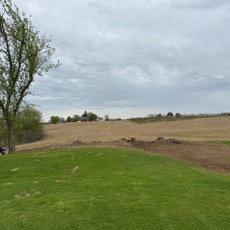 Tree services in Niles, MI