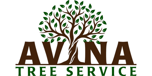 Avina Tree Service