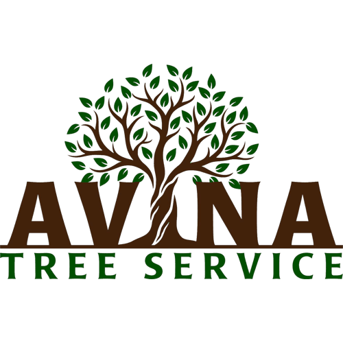 Avina Tree Service