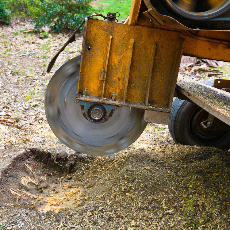 Tree services in Niles, MI