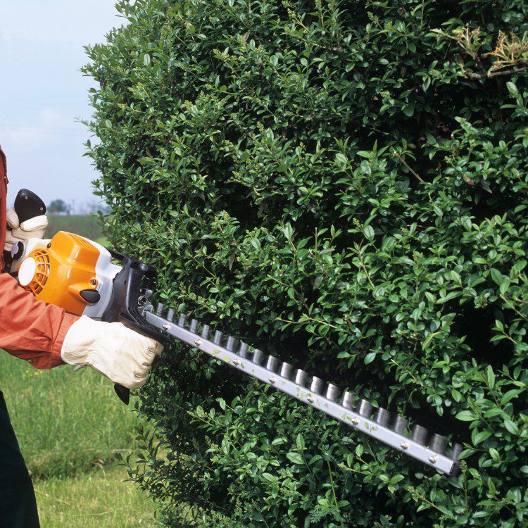 Tree services in Niles, MI Tree services in Niles, MI