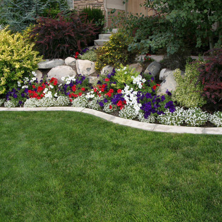 Tree services in Niles, MI Tree services in Niles, MI