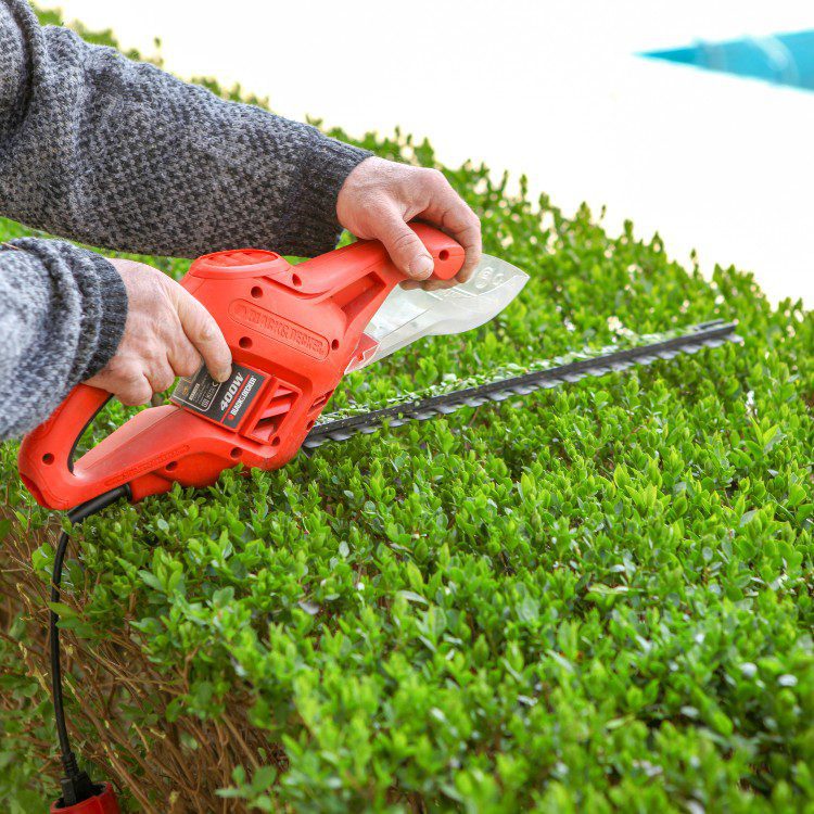 Tree services in Niles, MI Tree services in Niles, MI